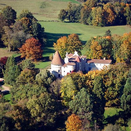 Chateau Des Martinanches Saint-Dier-dʼAuvergne Exteriér fotografie
