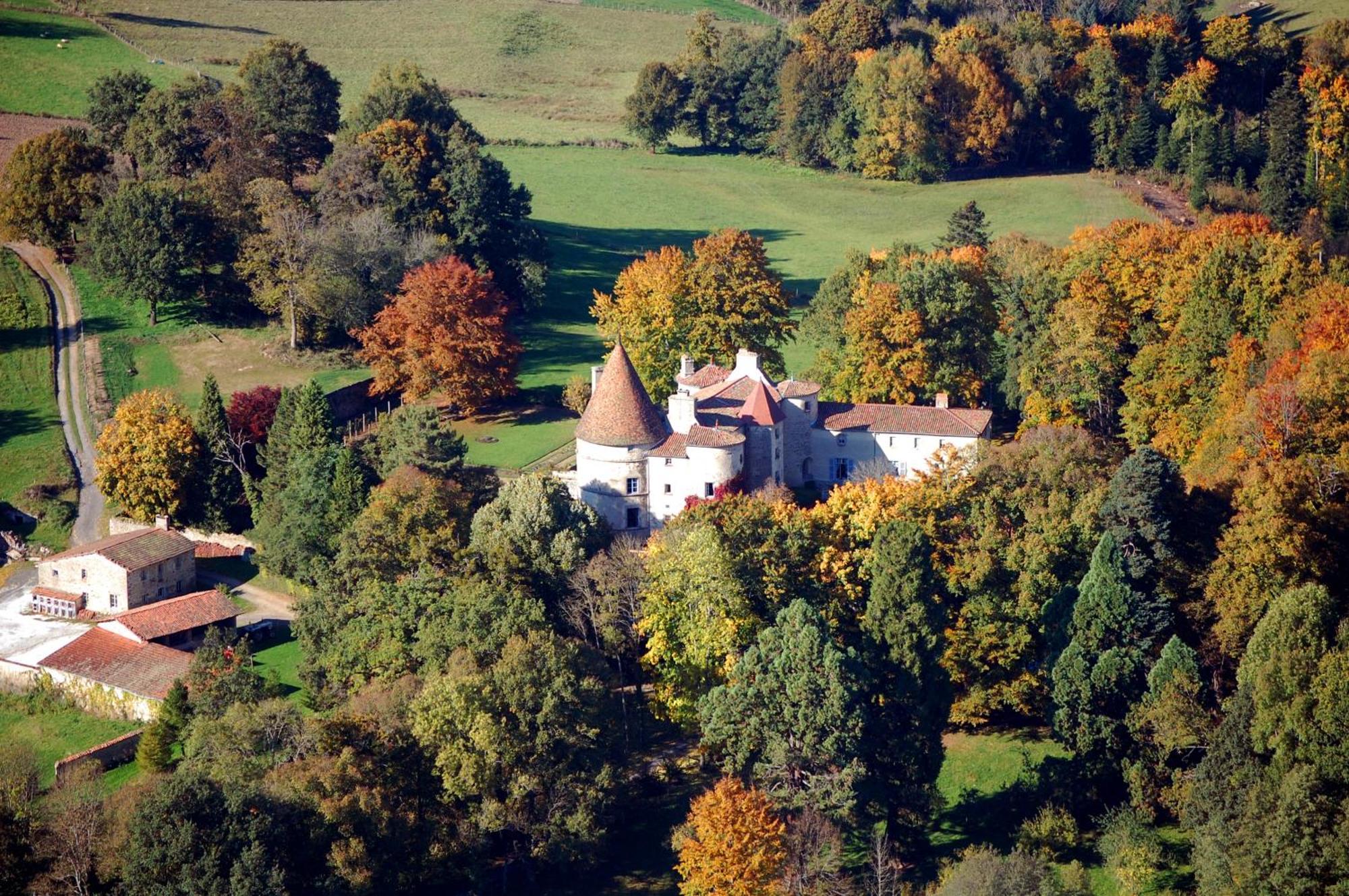 Chateau Des Martinanches Saint-Dier-dʼAuvergne Exteriér fotografie