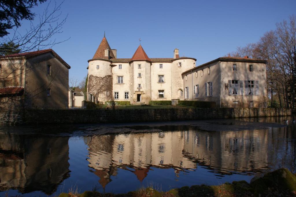Chateau Des Martinanches Saint-Dier-dʼAuvergne Exteriér fotografie
